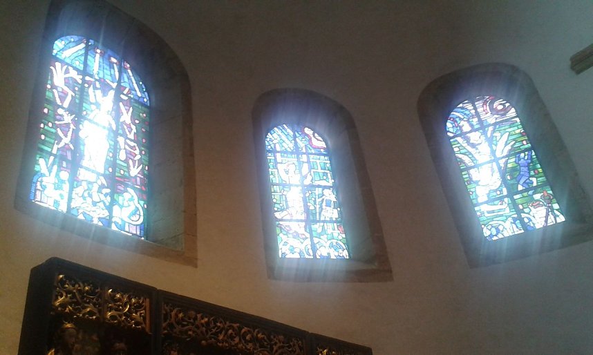 Der Tausendj&auml;hrige Rosenstock