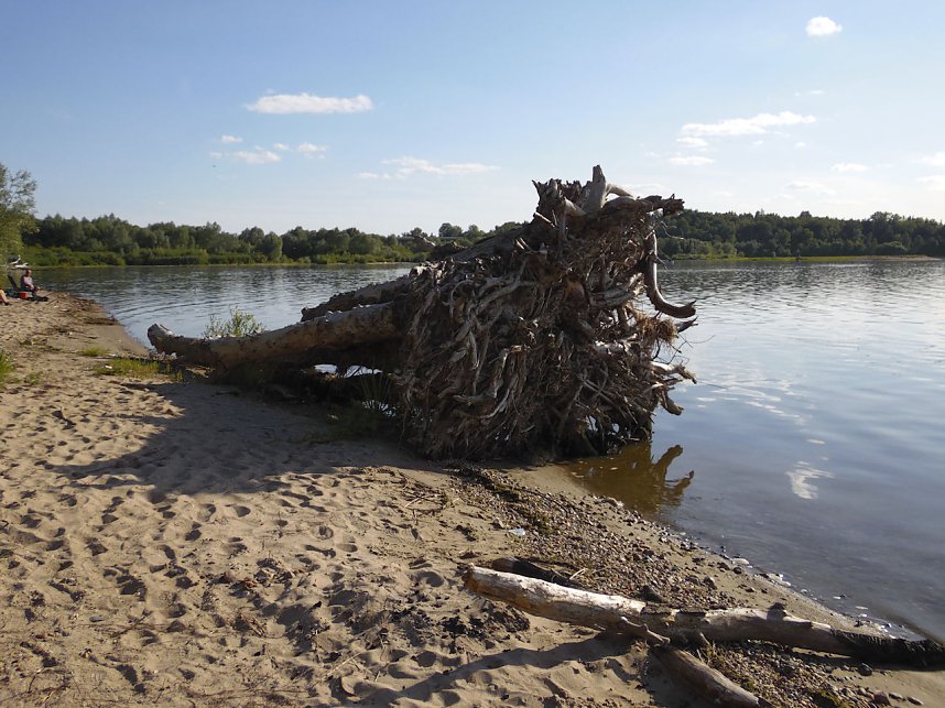 Impressionen am Muldenstausee