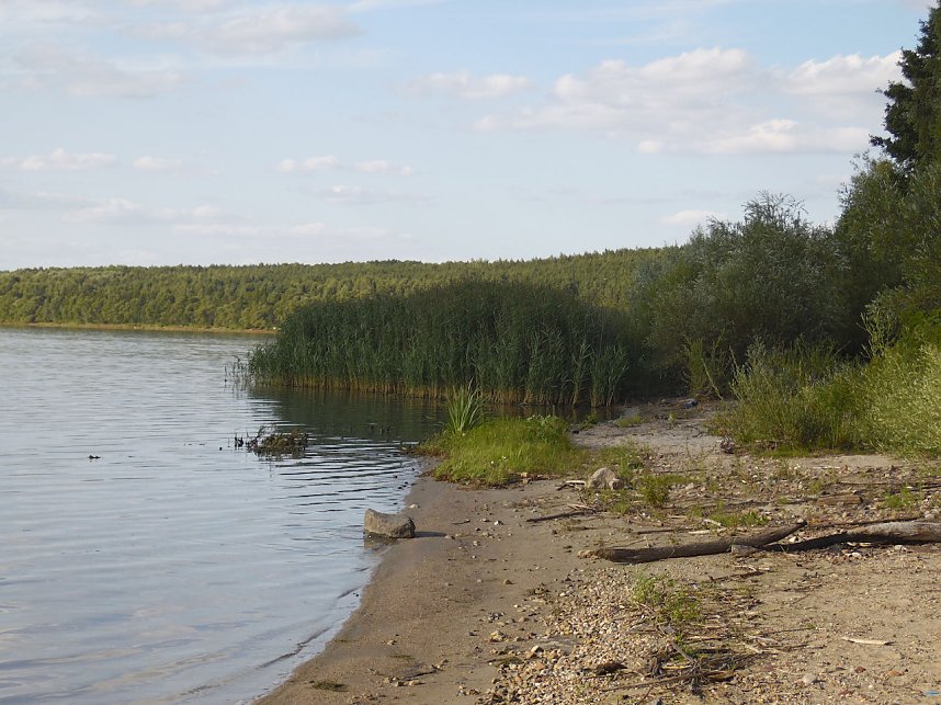 Impressionen am Muldenstausee
