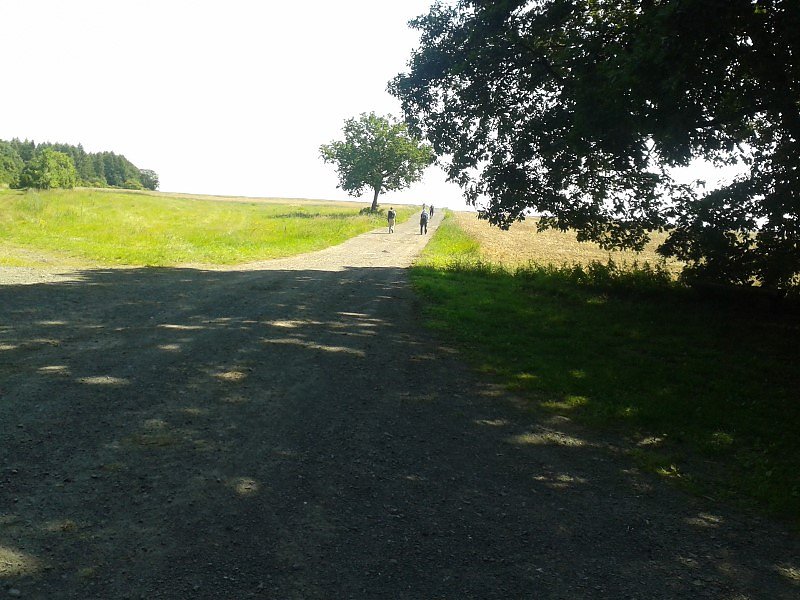 Harz-Hunderter EXTREM