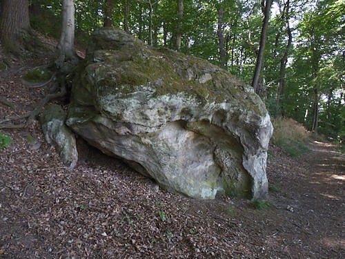 Unterwegs im Harz: Teufelsmauer und Teufelszeug