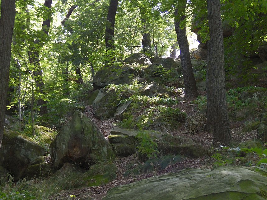 Unterwegs im Harz: Teufelsmauer und Teufelszeug