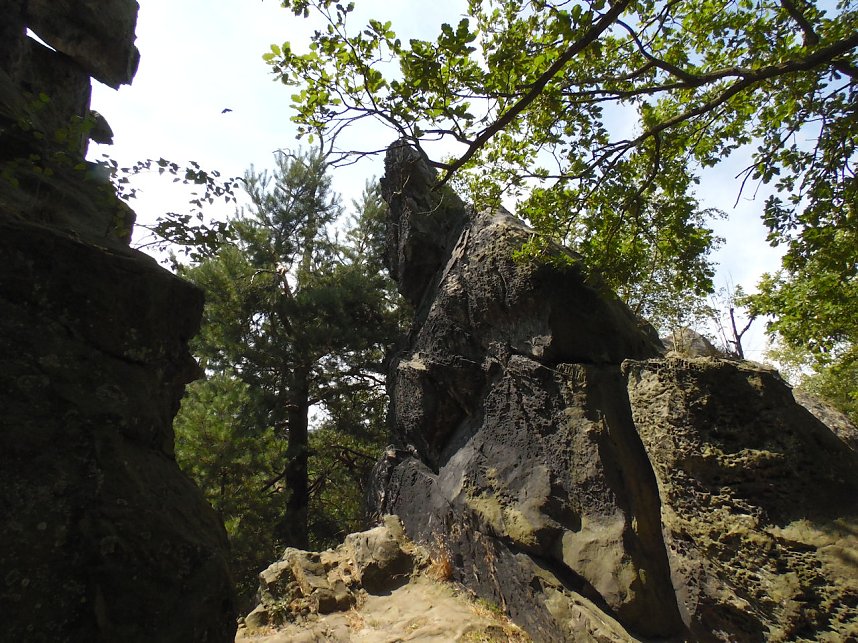 Unterwegs im Harz: Teufelsmauer und Teufelszeug