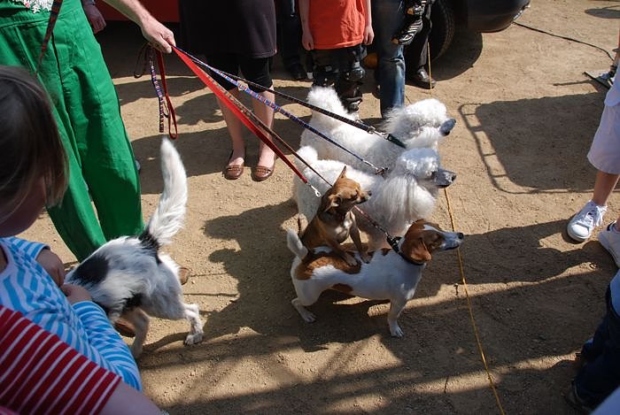 Fr&uuml;hlingsfest auf dem Petersberg 