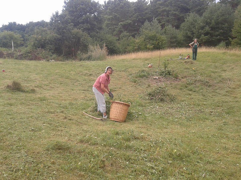 Pflegeeinsatz des BUND