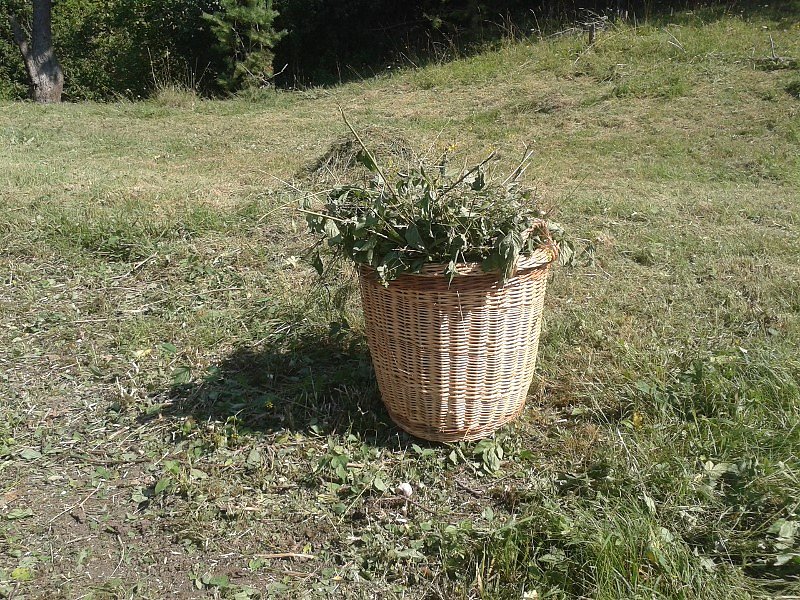 Pflegeeinsatz des BUND