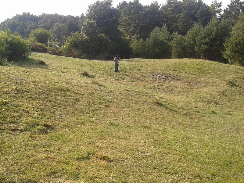 Pflegeeinsatz des BUND