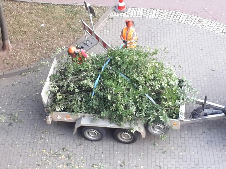 Nur Aus&auml;sten, Lichtraumprofile herstellen, sagt der Fachmann