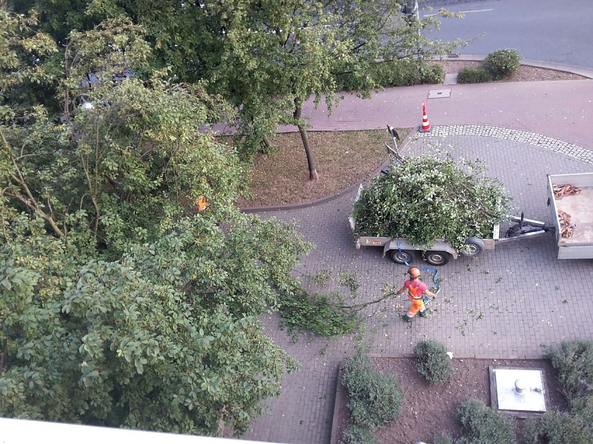 Nur Aus&auml;sten, Lichtraumprofile herstellen, sagt der Fachmann