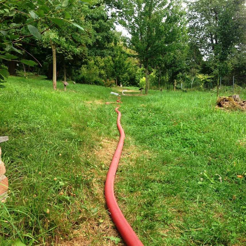 Wasser marsch im Ahornpark