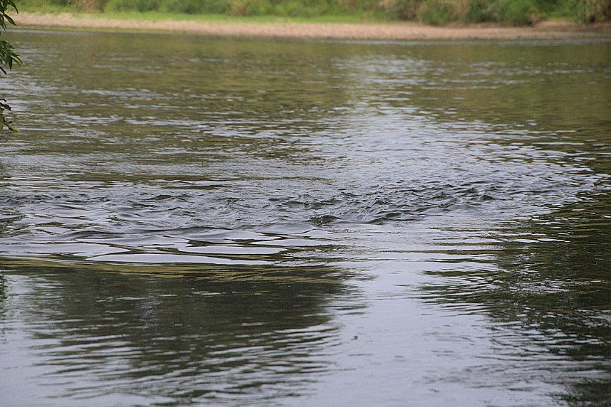 Entdeckungen an der Mulde