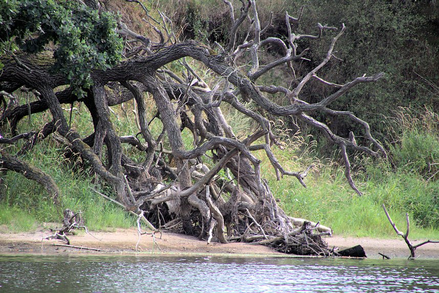 Entdeckungen an der Mulde