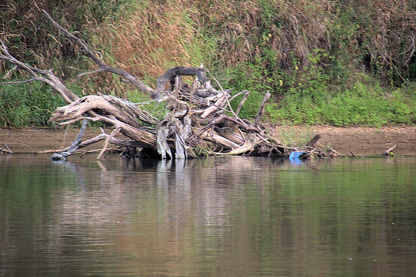 Entdeckungen an der Mulde