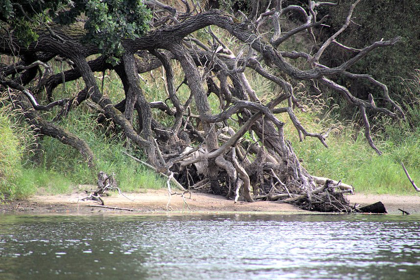 Entdeckungen an der Mulde