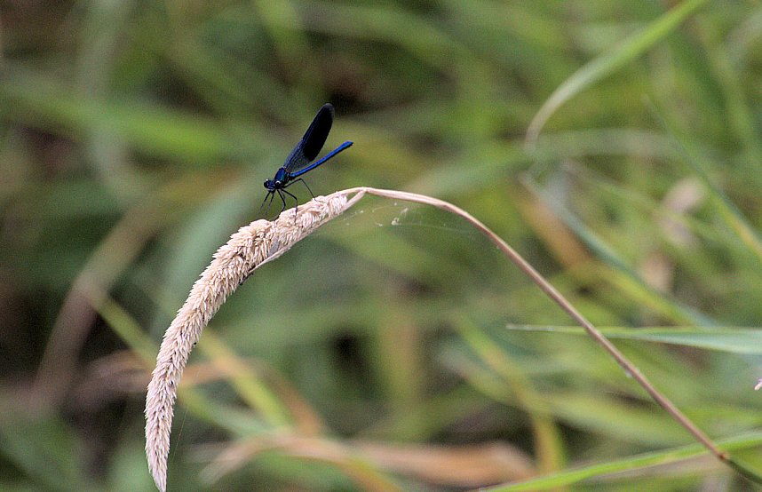 Entdeckungen an der Mulde