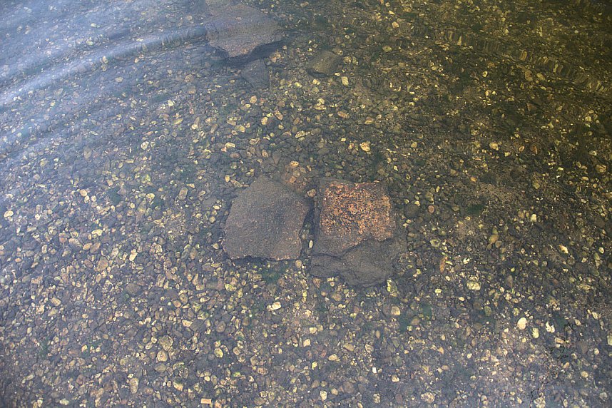 Entdeckungen an der Mulde