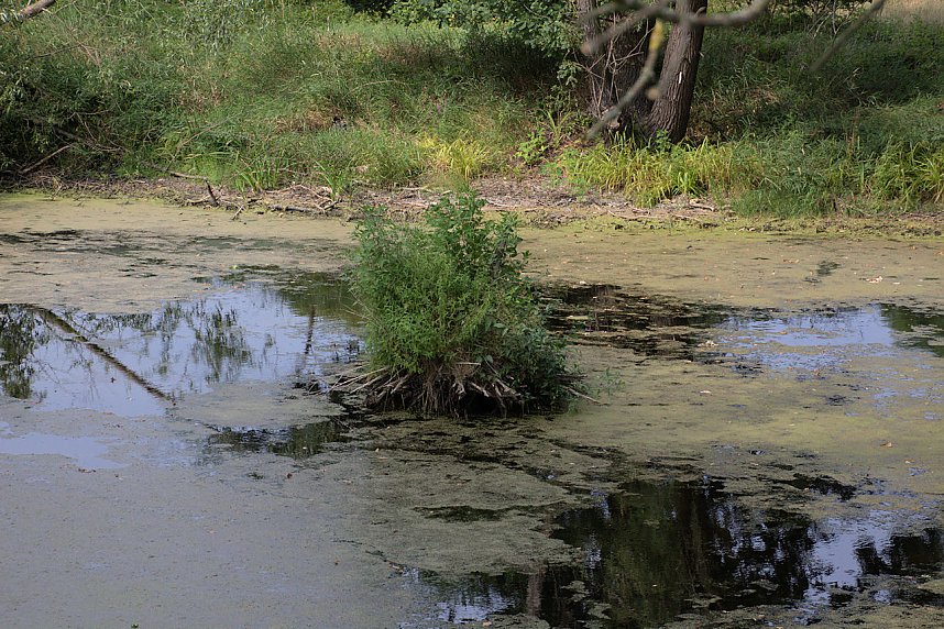 Entdeckungen an der Mulde