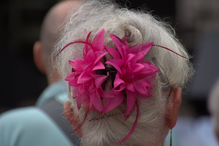 EVN-Fest auf dem Petersberg - der Nachmittag