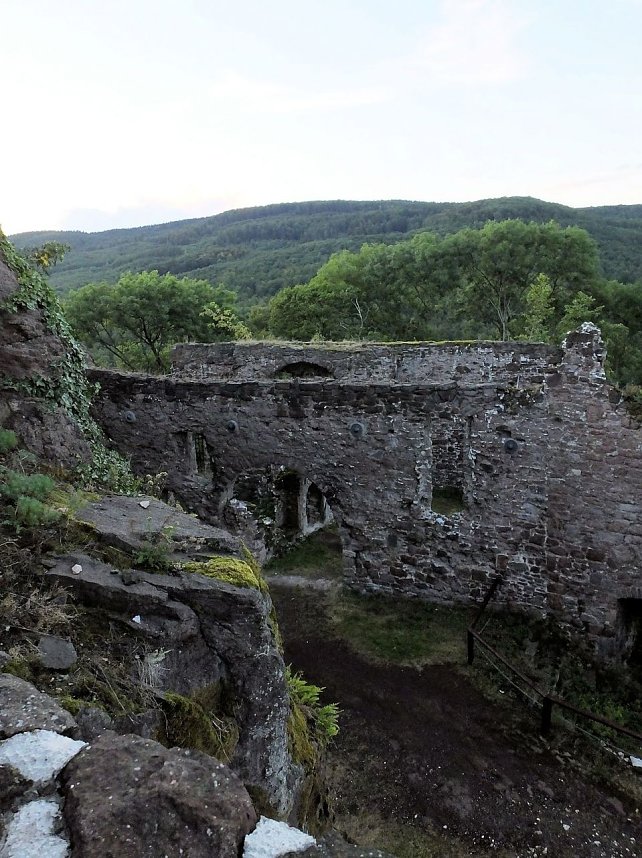 Zu Besuch auf der Burgruine Hohnstein