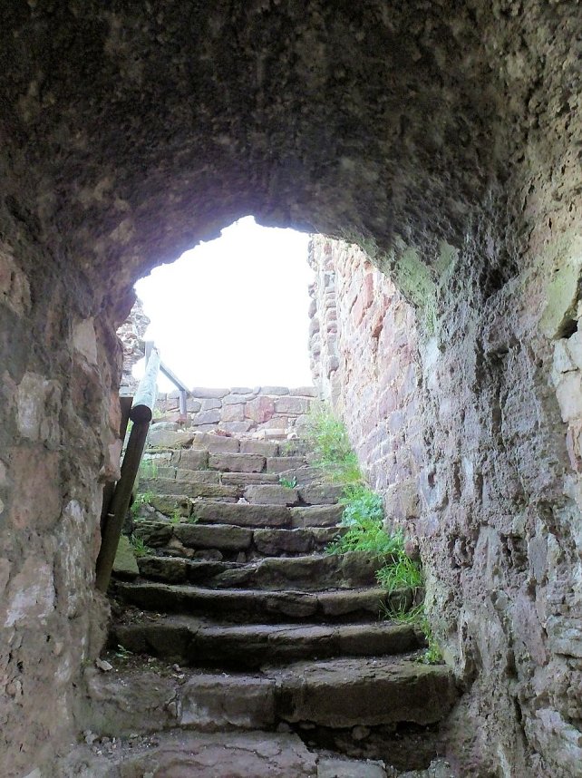 Zu Besuch auf der Burgruine Hohnstein