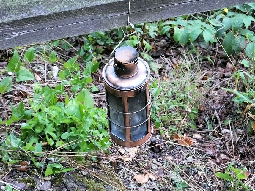 Zu Besuch auf der Burgruine Hohnstein