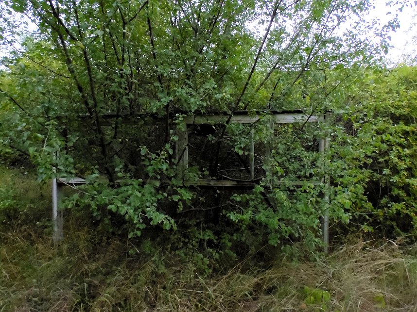 Unwirkliche Orte: Lokschuppen bei Bitterfeld