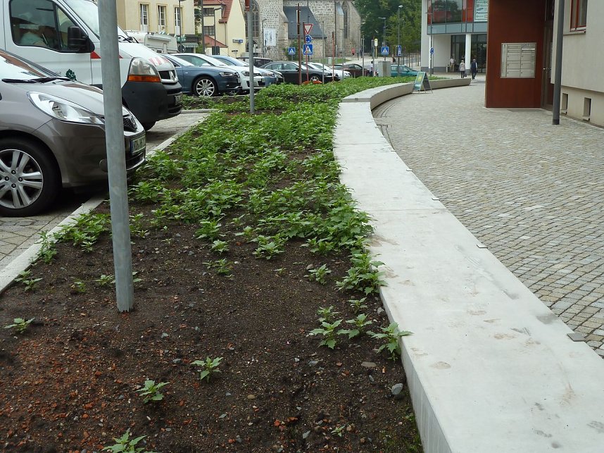 Es gr&uuml;nt so gr&uuml;n...