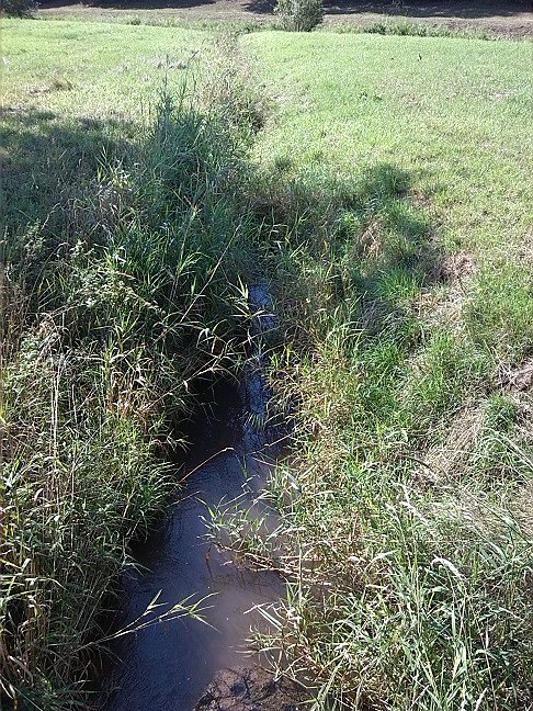Fahrrad-Exkursion entlang Zorge und Helme