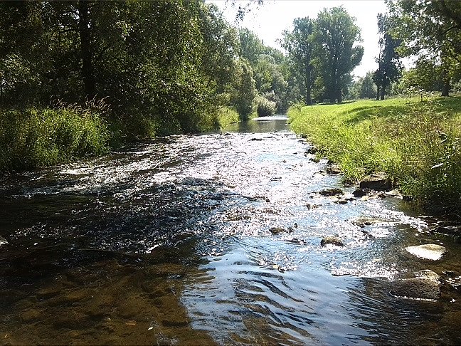 Fahrrad-Exkursion entlang Zorge und Helme