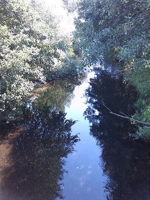 Fahrrad-Exkursion entlang Zorge und Helme