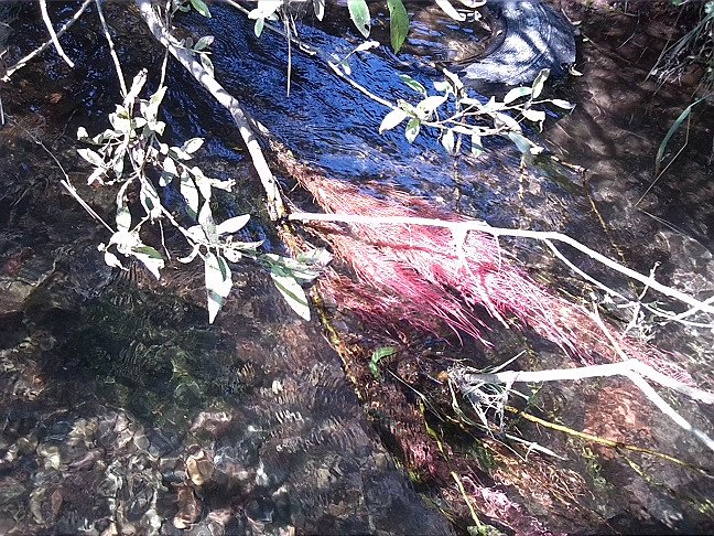 Fahrrad-Exkursion entlang Zorge und Helme