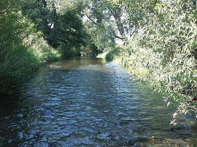 Fahrrad-Exkursion entlang Zorge und Helme
