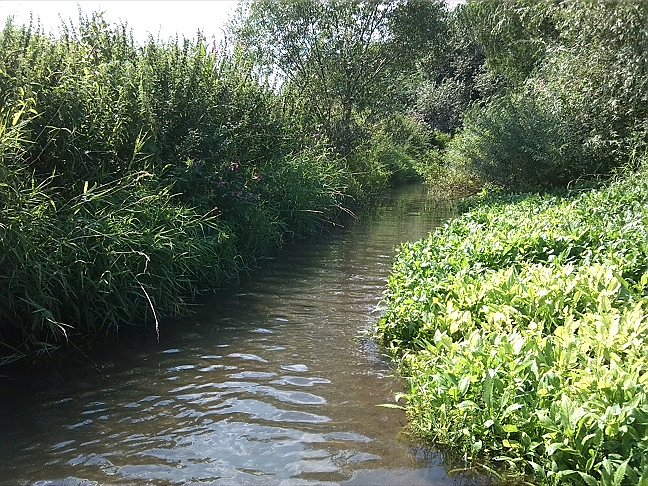 Fahrrad-Exkursion entlang Zorge und Helme