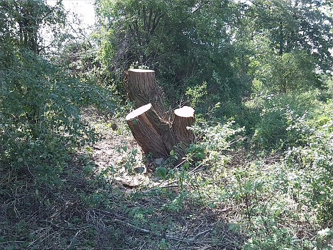 Fahrrad-Exkursion entlang Zorge und Helme