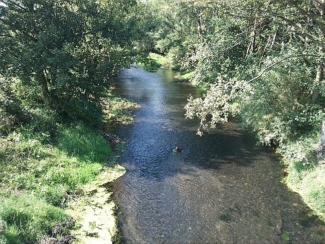 Fahrrad-Exkursion entlang Zorge und Helme