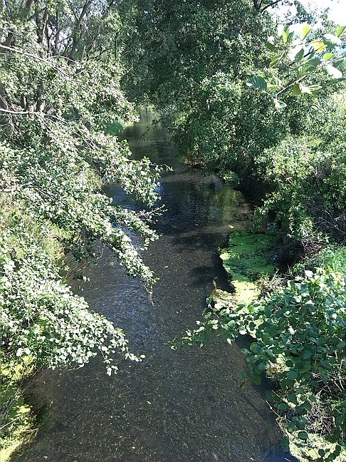 Fahrrad-Exkursion entlang Zorge und Helme