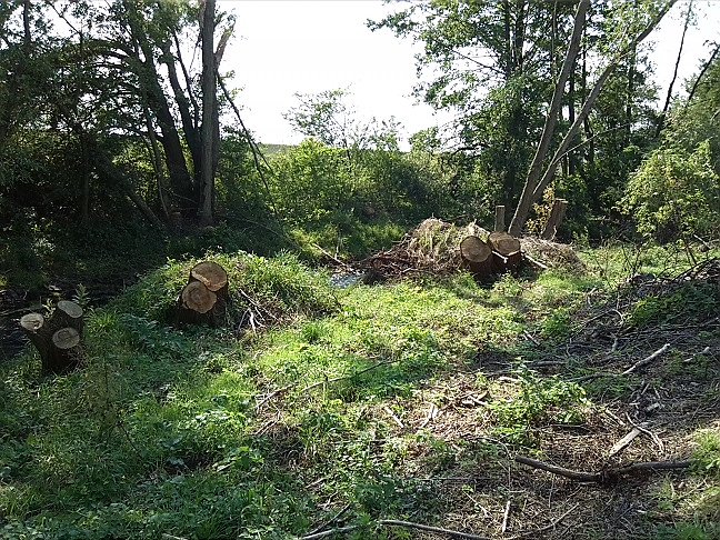 Fahrrad-Exkursion entlang Zorge und Helme