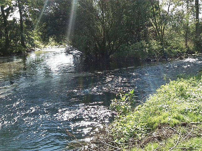 Fahrrad-Exkursion entlang Zorge und Helme