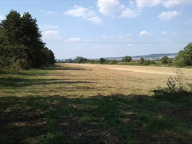 Fahrrad-Exkursion entlang Zorge und Helme