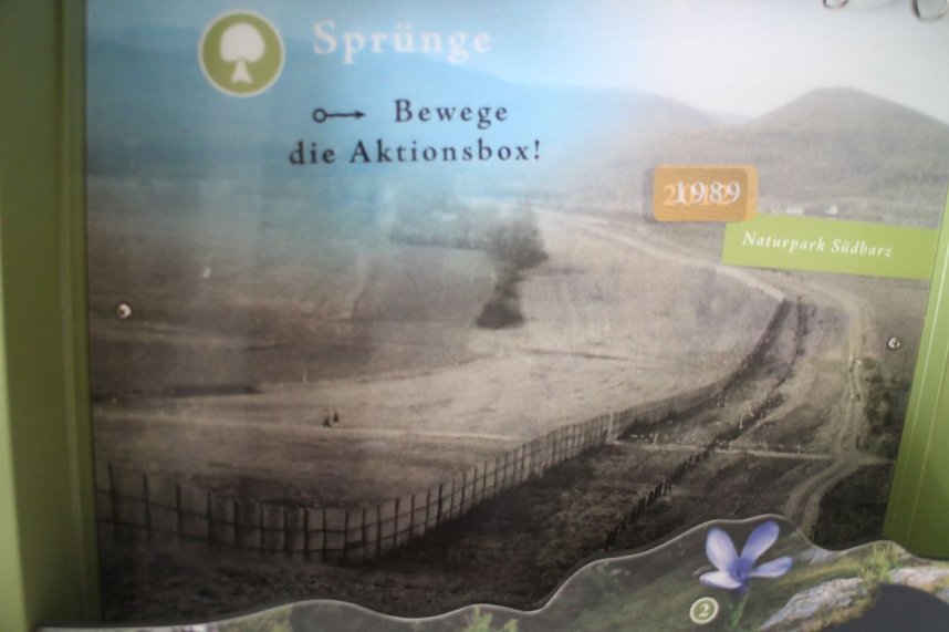 Th&uuml;ringens Natur - Neue Ausstellung im Nordh&auml;user Rathaus