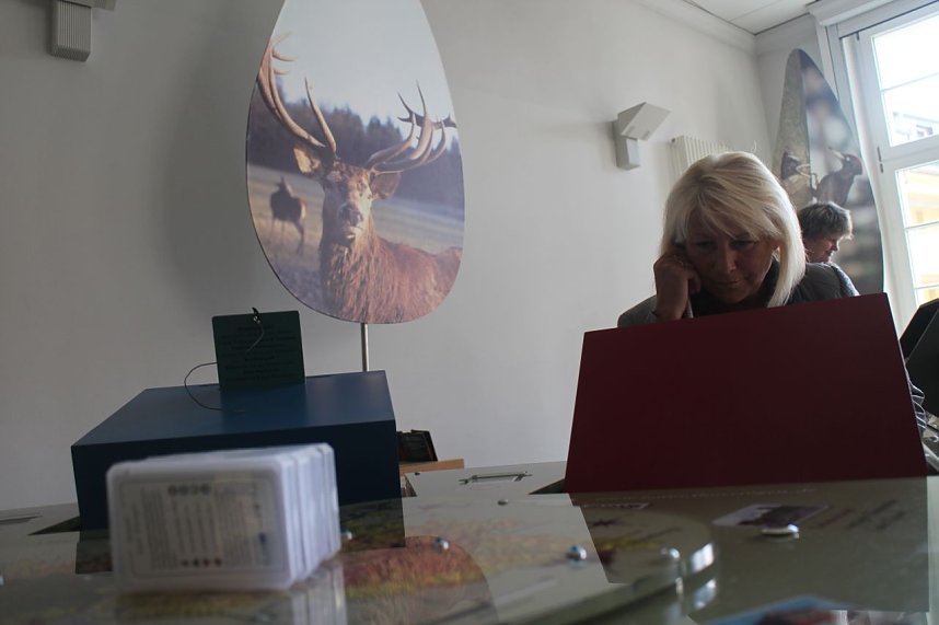 Th&uuml;ringens Natur - Neue Ausstellung im Nordh&auml;user Rathaus