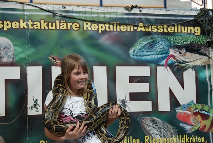 Welt der Reptilien in der Wiedingsburghalle