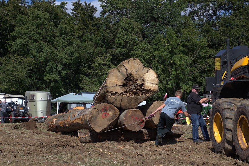 Neunte Auflage in Herrmannsacker