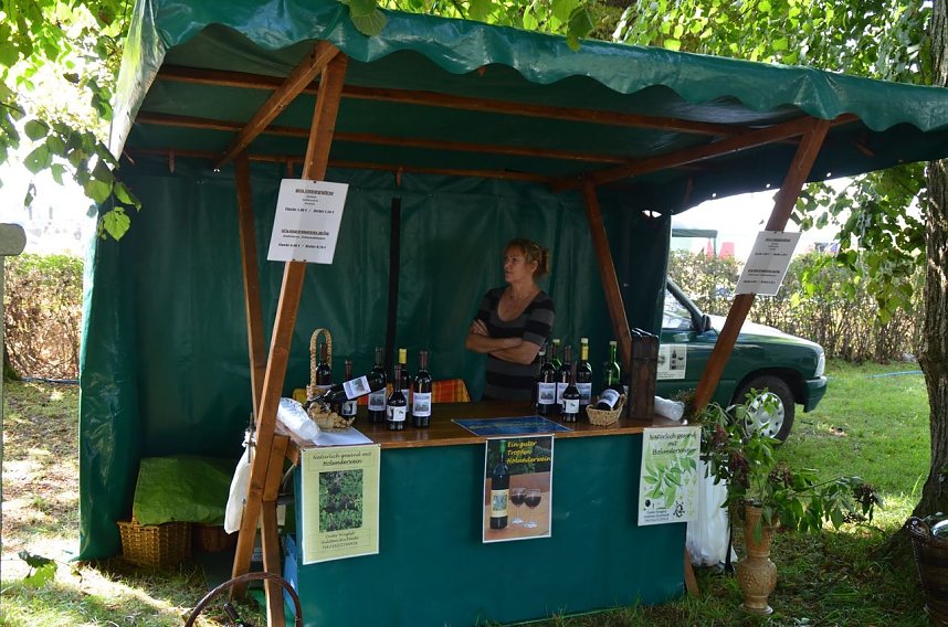 9. Schleppertreffen in Hermannsacker