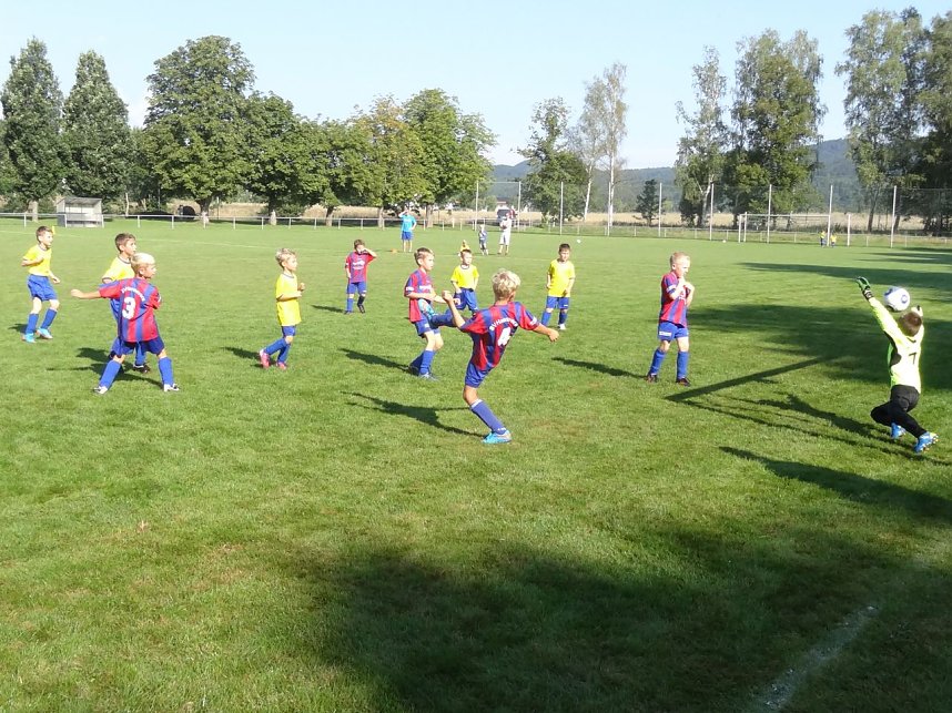 Gelungener Start f&uuml;r Ellrichs F- Jugend