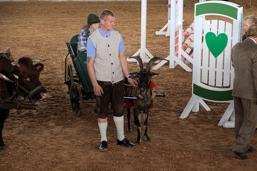 Archeschau auf der Forstfarm