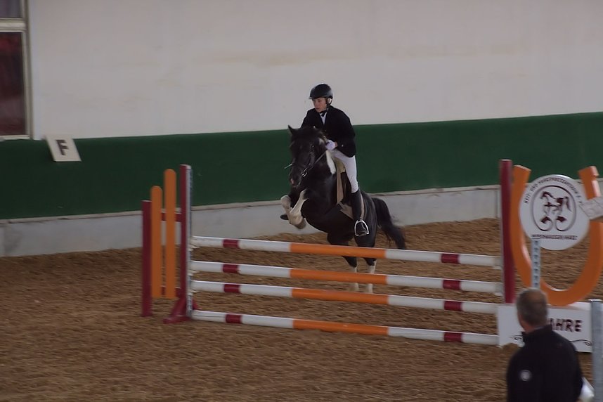 Archeschau auf der Forstfarm