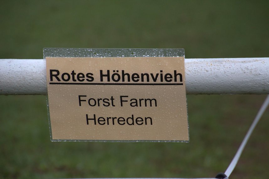 Archeschau auf der Forstfarm