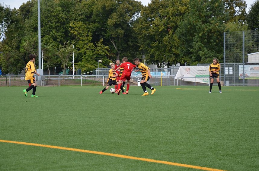 Erstes Spiel, erster Sieg