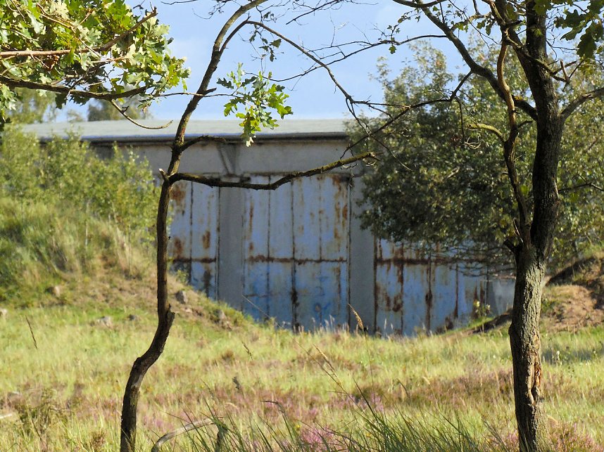 Peter Blei unterwegs in der Heide
